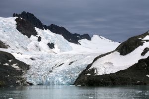 Drygalski Fjord, South Georgia 205.jpg